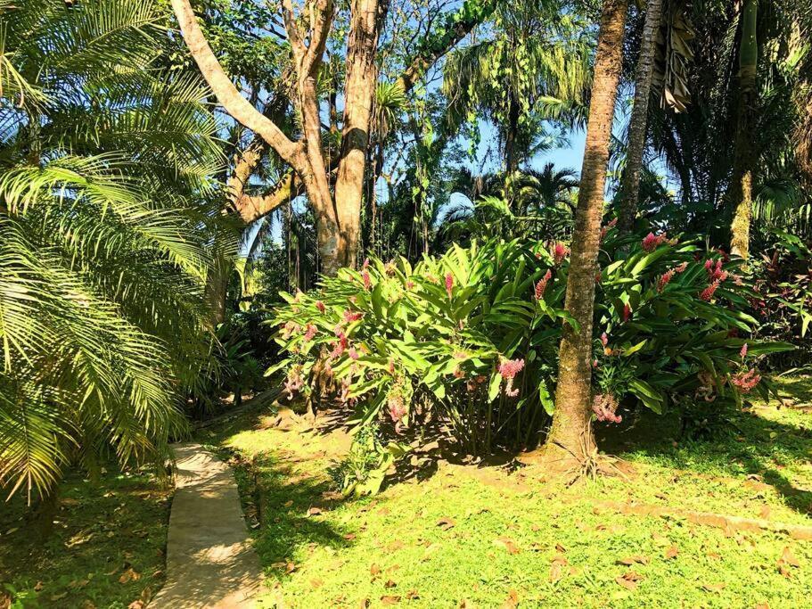 Villa Del Idaan Bocas Town Exterior photo