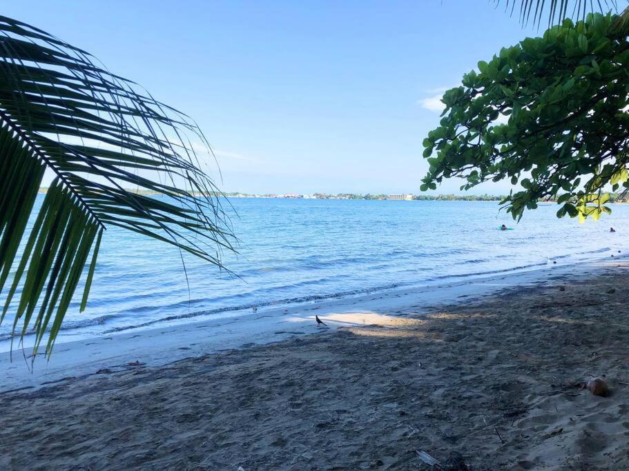 Villa Del Idaan Bocas Town Exterior photo