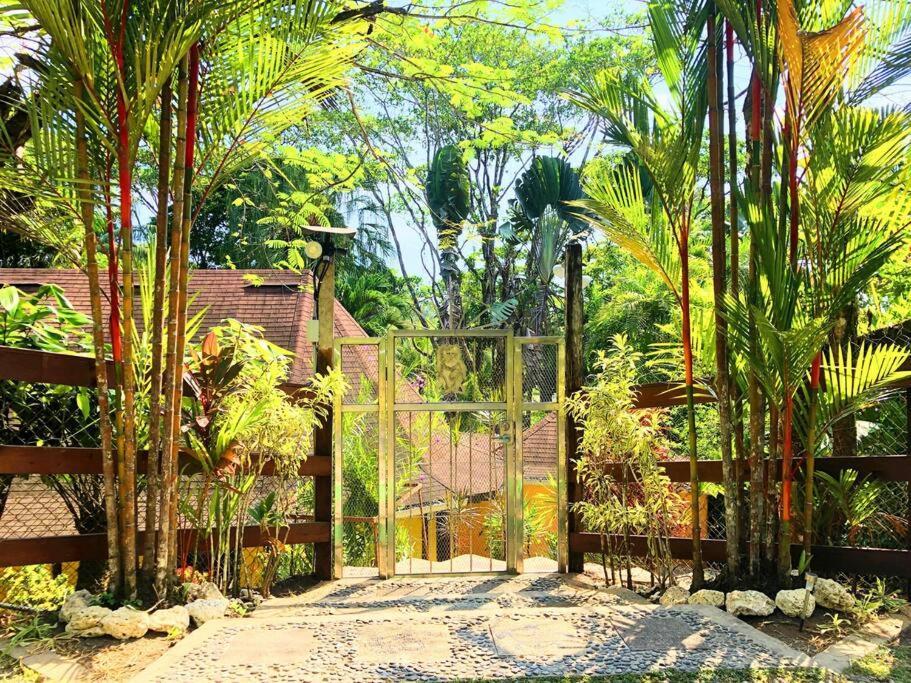 Villa Del Idaan Bocas Town Exterior photo